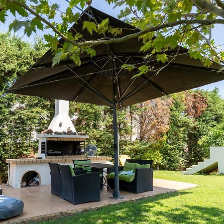Beautiful Summer Villa In Chalkoutsi Khalkoutsion Extérieur photo