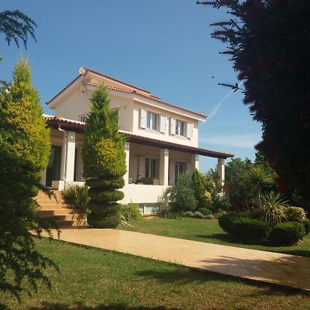 Beautiful Summer Villa In Chalkoutsi Khalkoutsion Extérieur photo