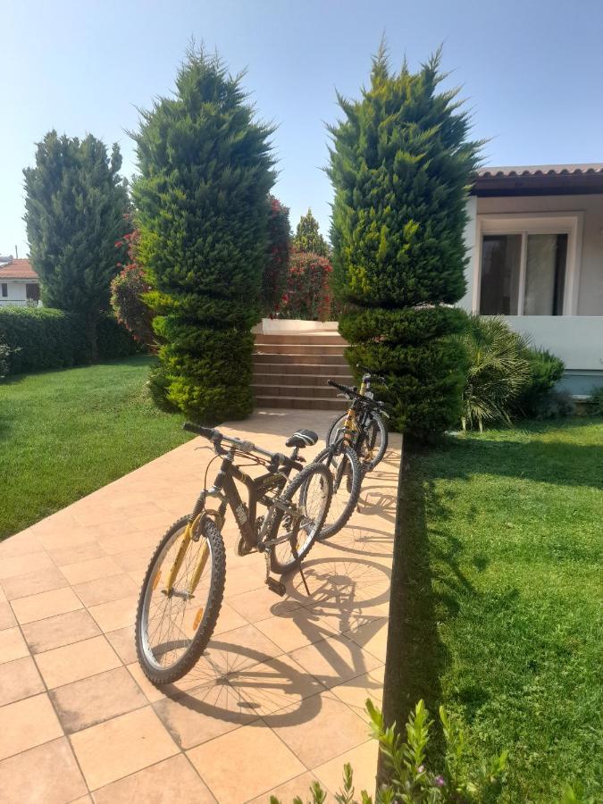 Beautiful Summer Villa In Chalkoutsi Khalkoutsion Extérieur photo