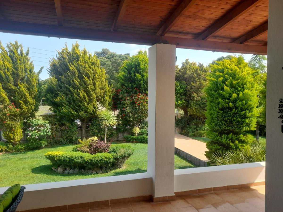 Beautiful Summer Villa In Chalkoutsi Khalkoutsion Extérieur photo