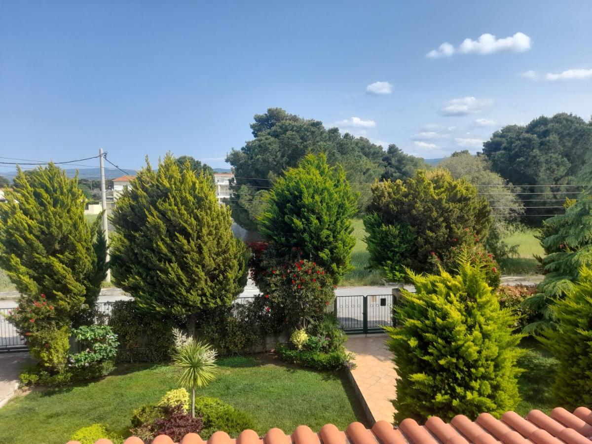 Beautiful Summer Villa In Chalkoutsi Khalkoutsion Extérieur photo