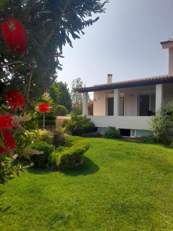 Beautiful Summer Villa In Chalkoutsi Khalkoutsion Extérieur photo