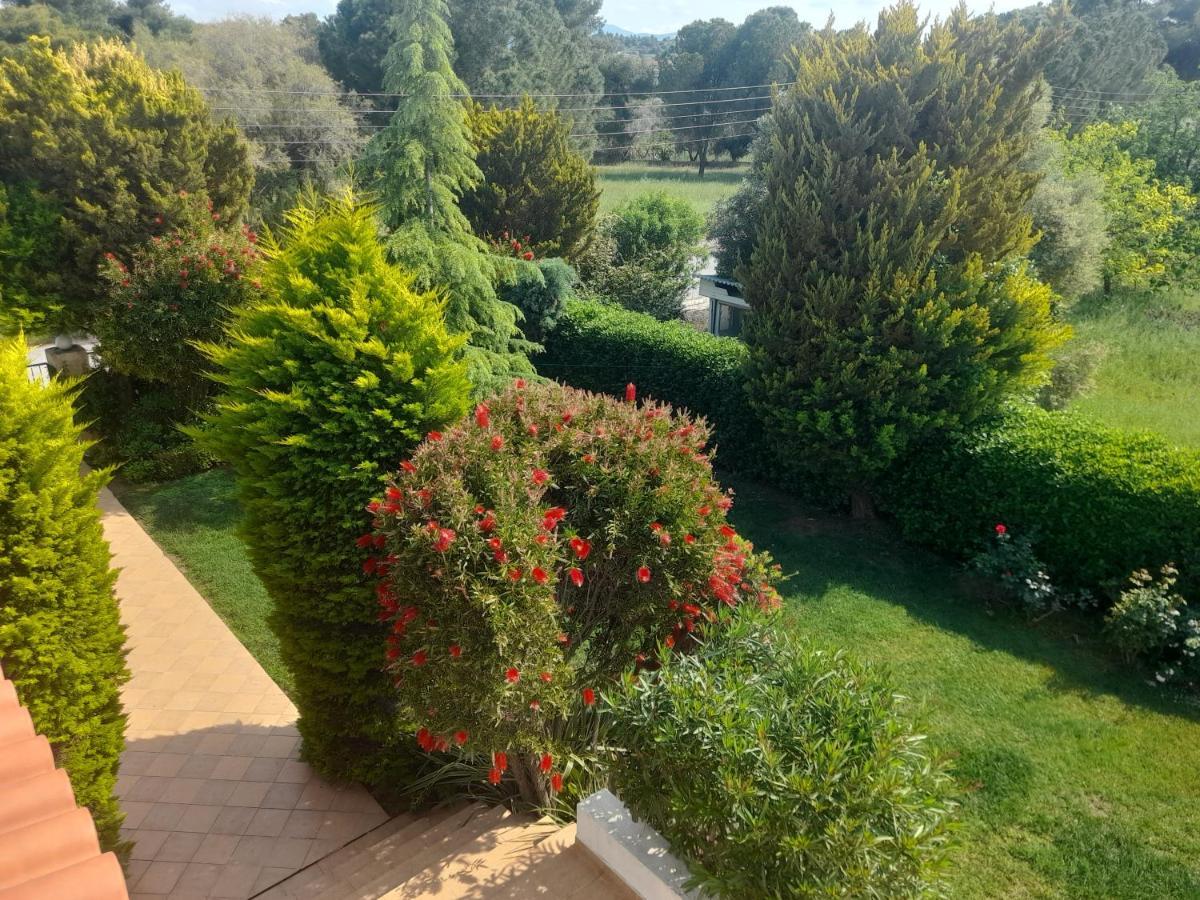 Beautiful Summer Villa In Chalkoutsi Khalkoutsion Extérieur photo