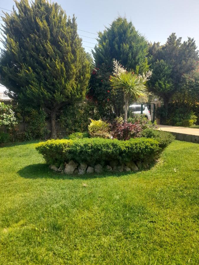 Beautiful Summer Villa In Chalkoutsi Khalkoutsion Extérieur photo