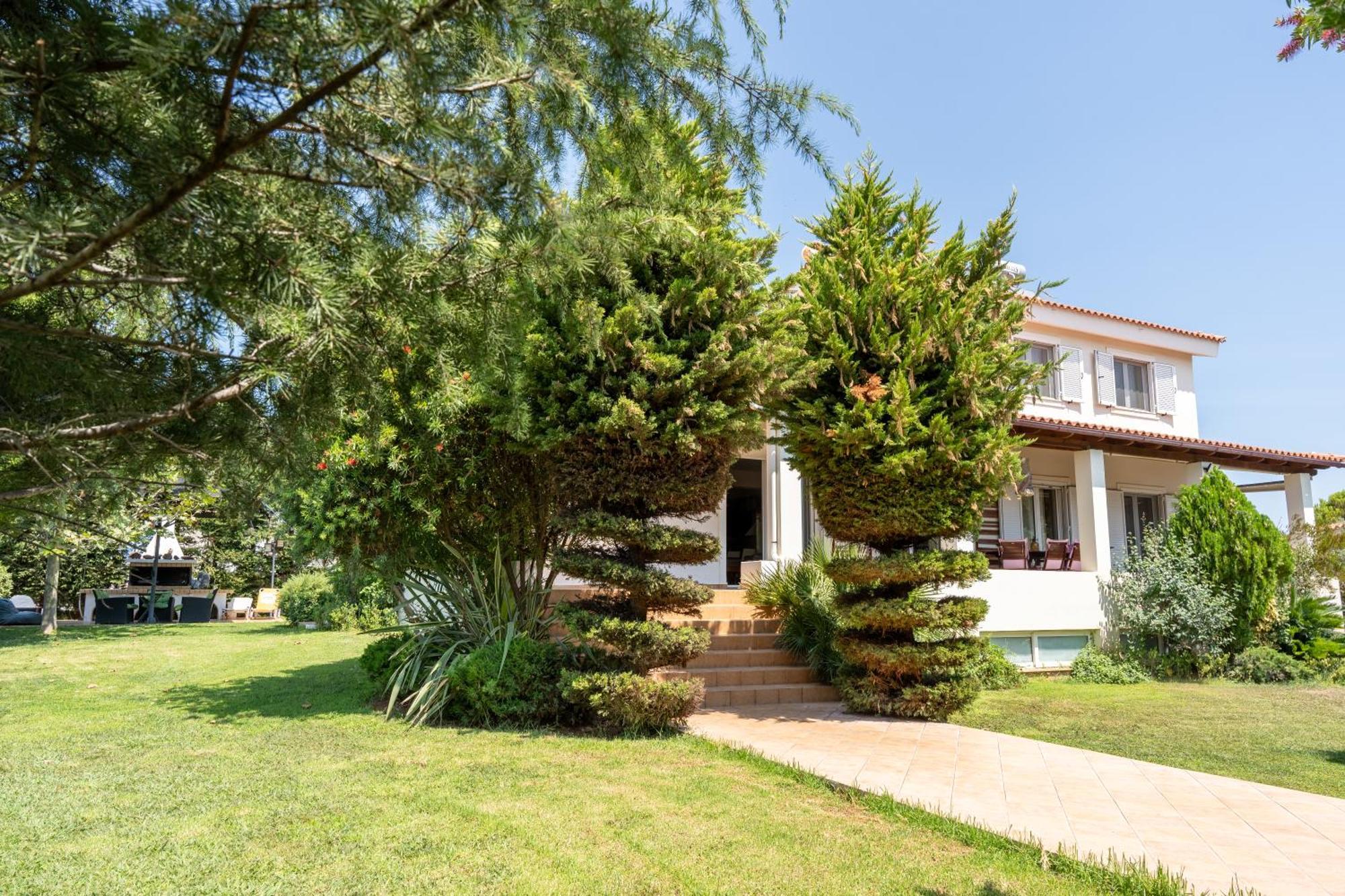 Beautiful Summer Villa In Chalkoutsi Khalkoutsion Extérieur photo