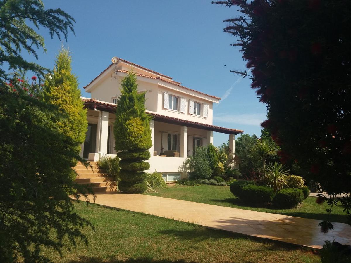Beautiful Summer Villa In Chalkoutsi Khalkoutsion Extérieur photo