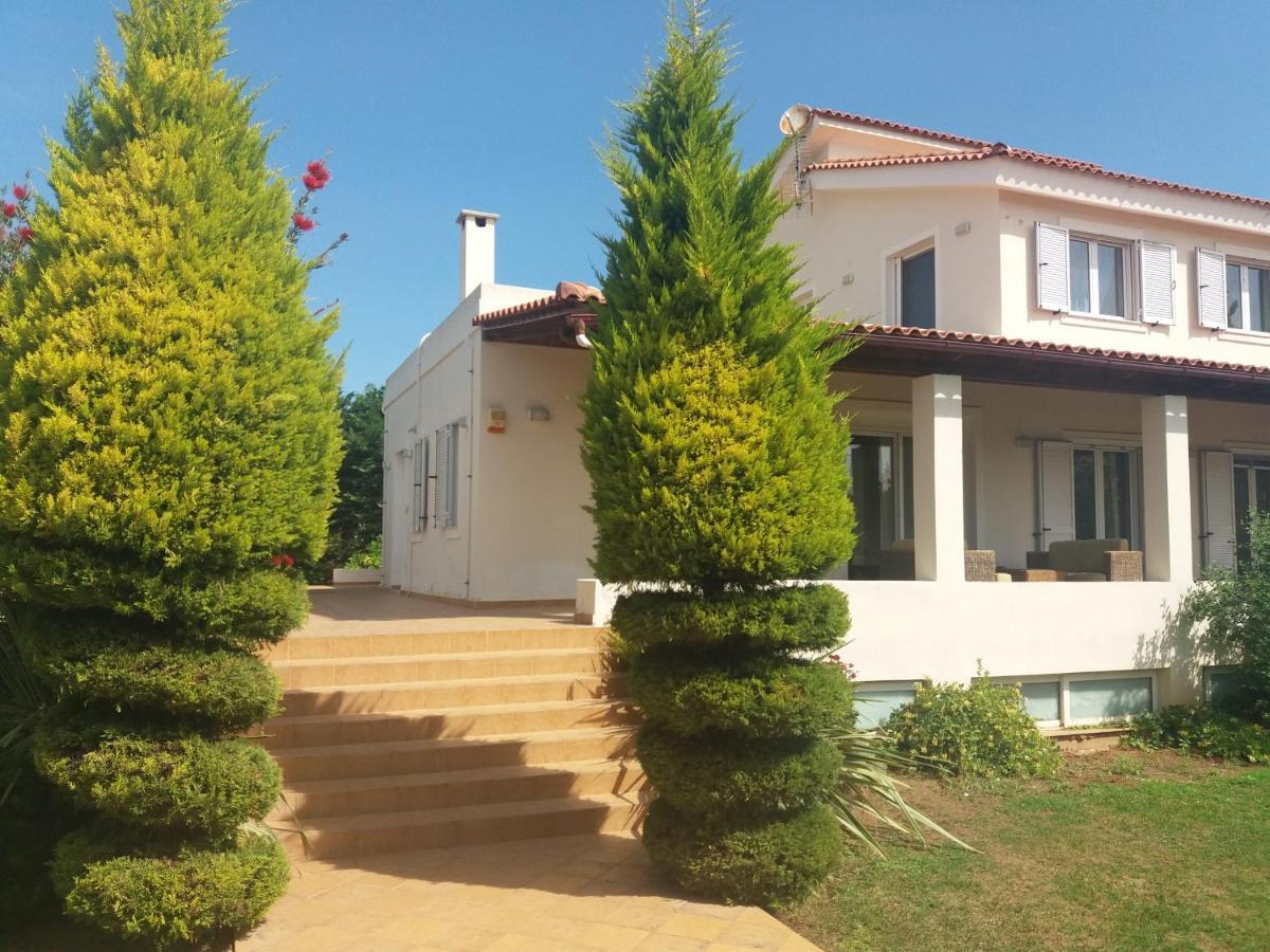 Beautiful Summer Villa In Chalkoutsi Khalkoutsion Extérieur photo