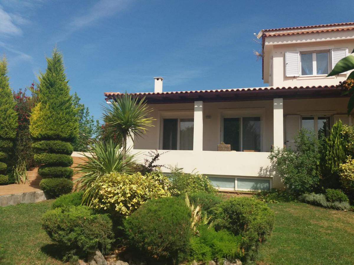 Beautiful Summer Villa In Chalkoutsi Khalkoutsion Extérieur photo