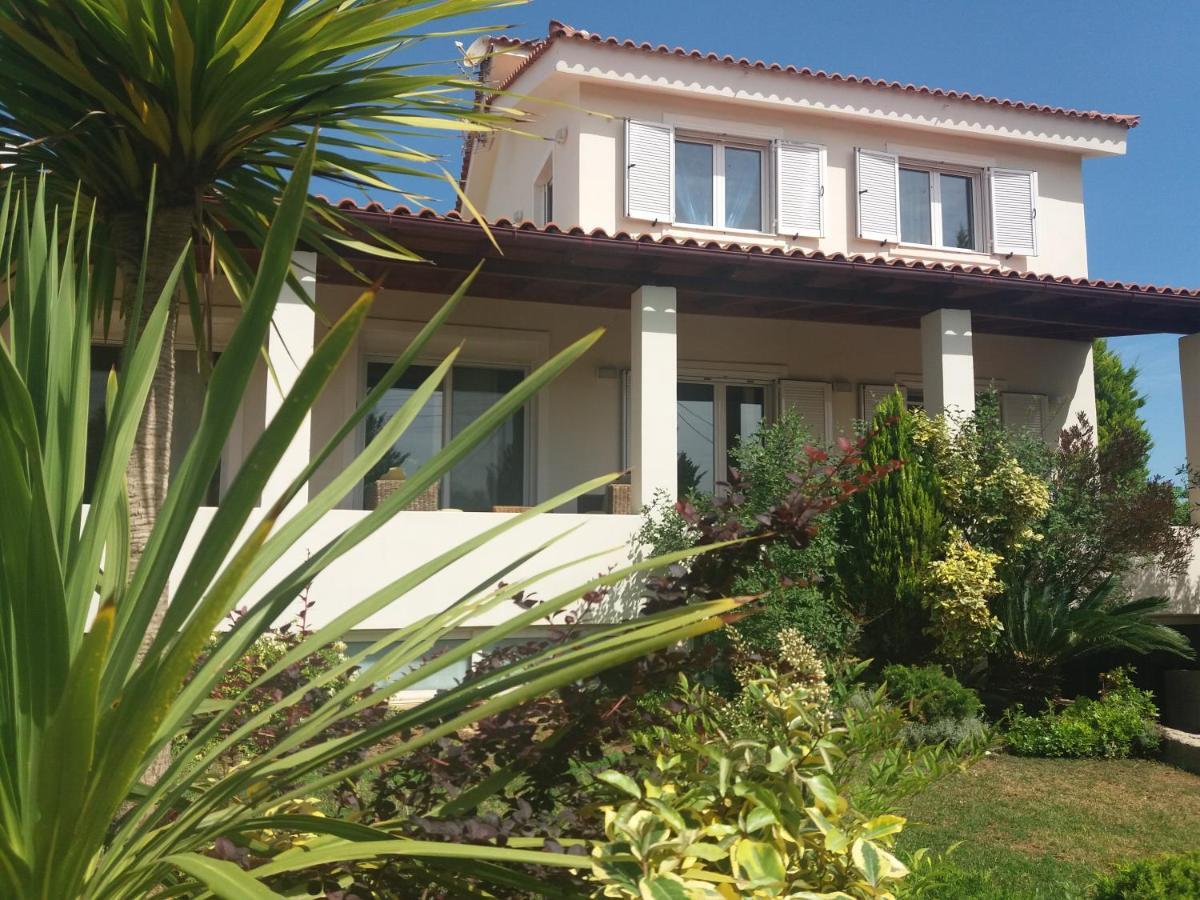 Beautiful Summer Villa In Chalkoutsi Khalkoutsion Extérieur photo