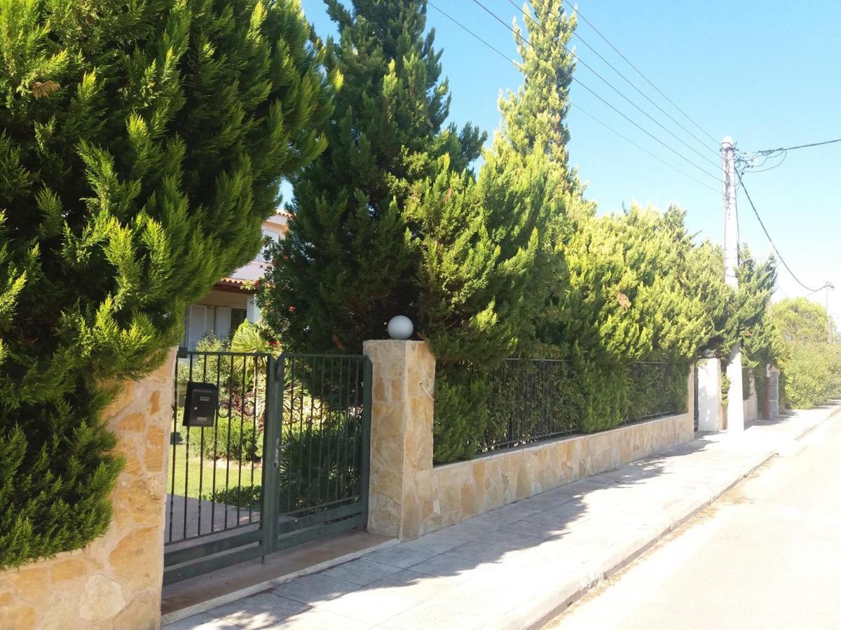 Beautiful Summer Villa In Chalkoutsi Khalkoutsion Extérieur photo