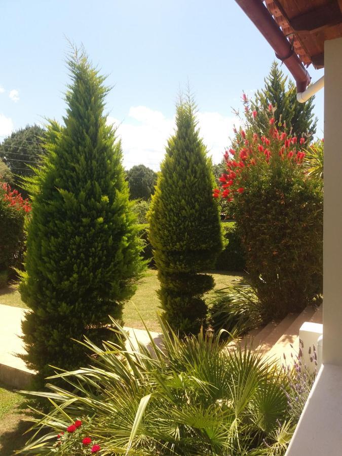 Beautiful Summer Villa In Chalkoutsi Khalkoutsion Extérieur photo