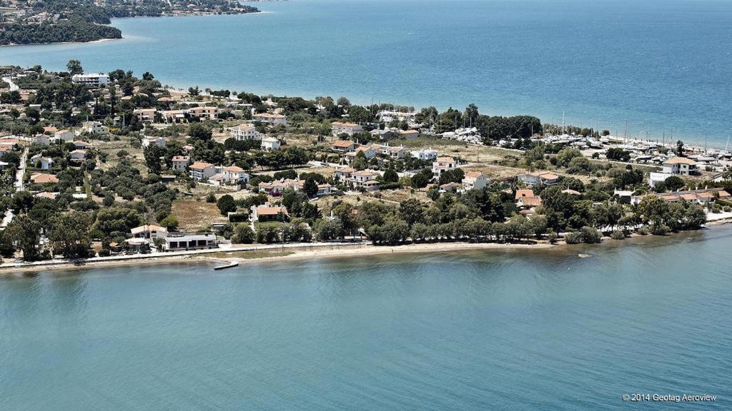 Beautiful Summer Villa In Chalkoutsi Khalkoutsion Extérieur photo